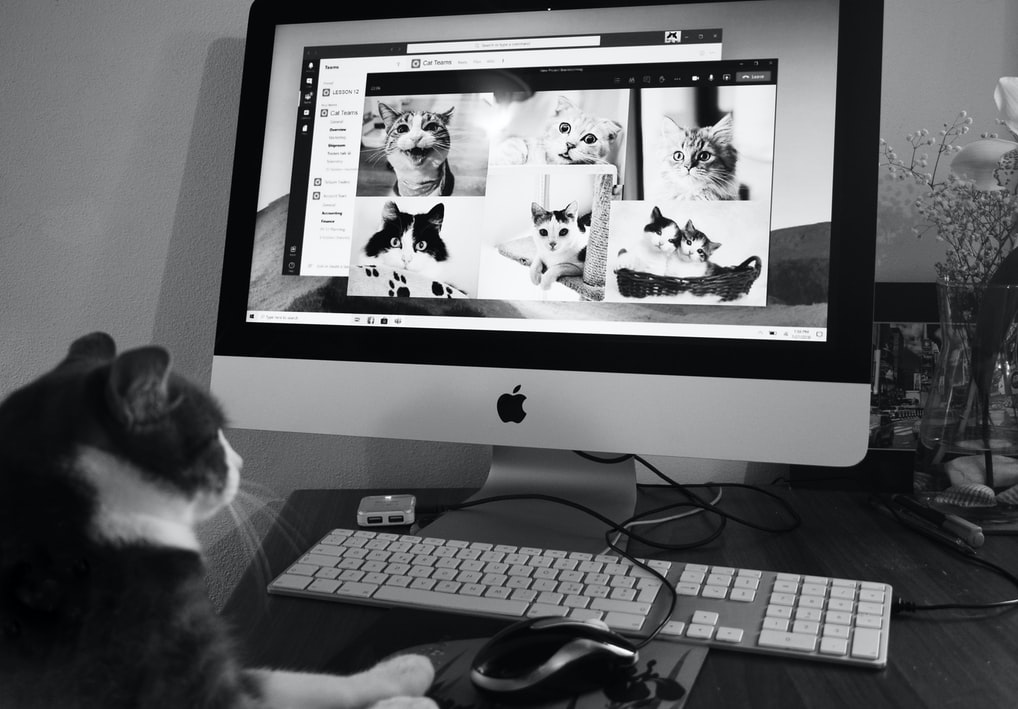 Online Marketing: Alles schaut auf(s) Display